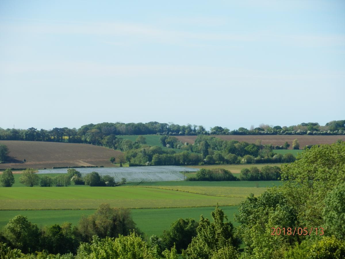 La Ferme De La Gronde Villa Magny-en-Bessin Bagian luar foto